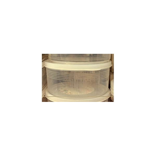 Microwaveable Plastic Container 800ml