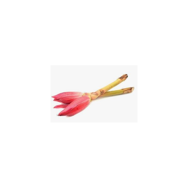 Ginger Flower 3pcs (V)