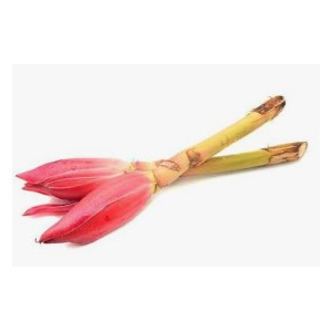 Ginger Flower 3pcs (V)