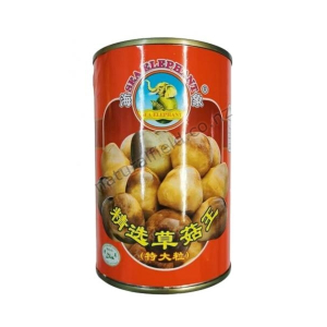 Sea Elephant Straw Mushroom 425g (V)